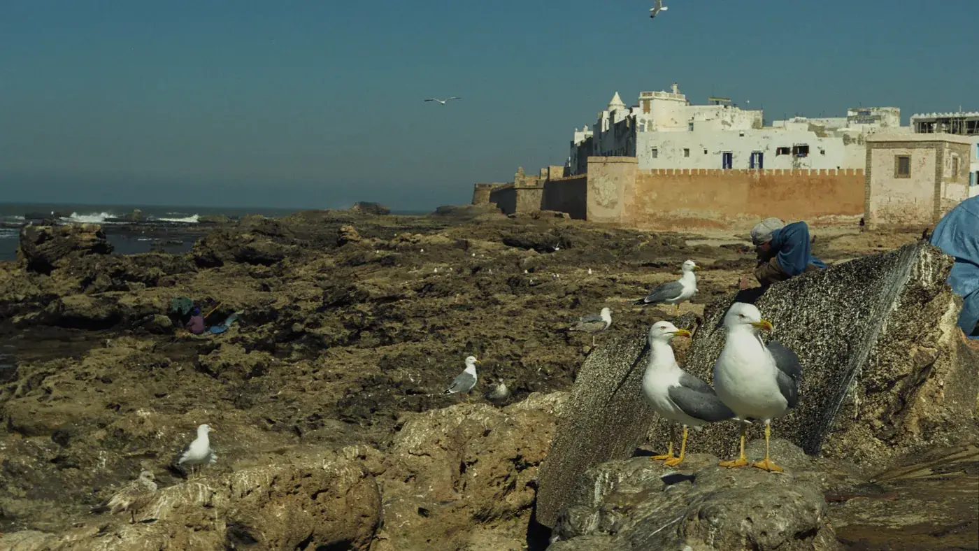 Remparts et médina d'Essaouira, au bout de la route Marrakech Essaouira en voiture