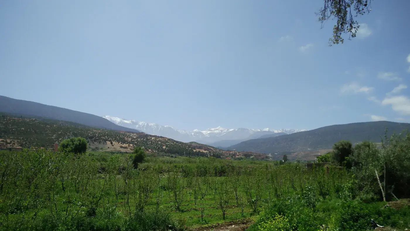 Fields and snow-capped Toubkal peaks near Asni on the road from Marrakech to Imlil