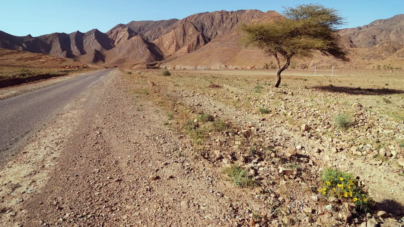 Route du sud marocain : gardez permis et documents de location dans la voiture