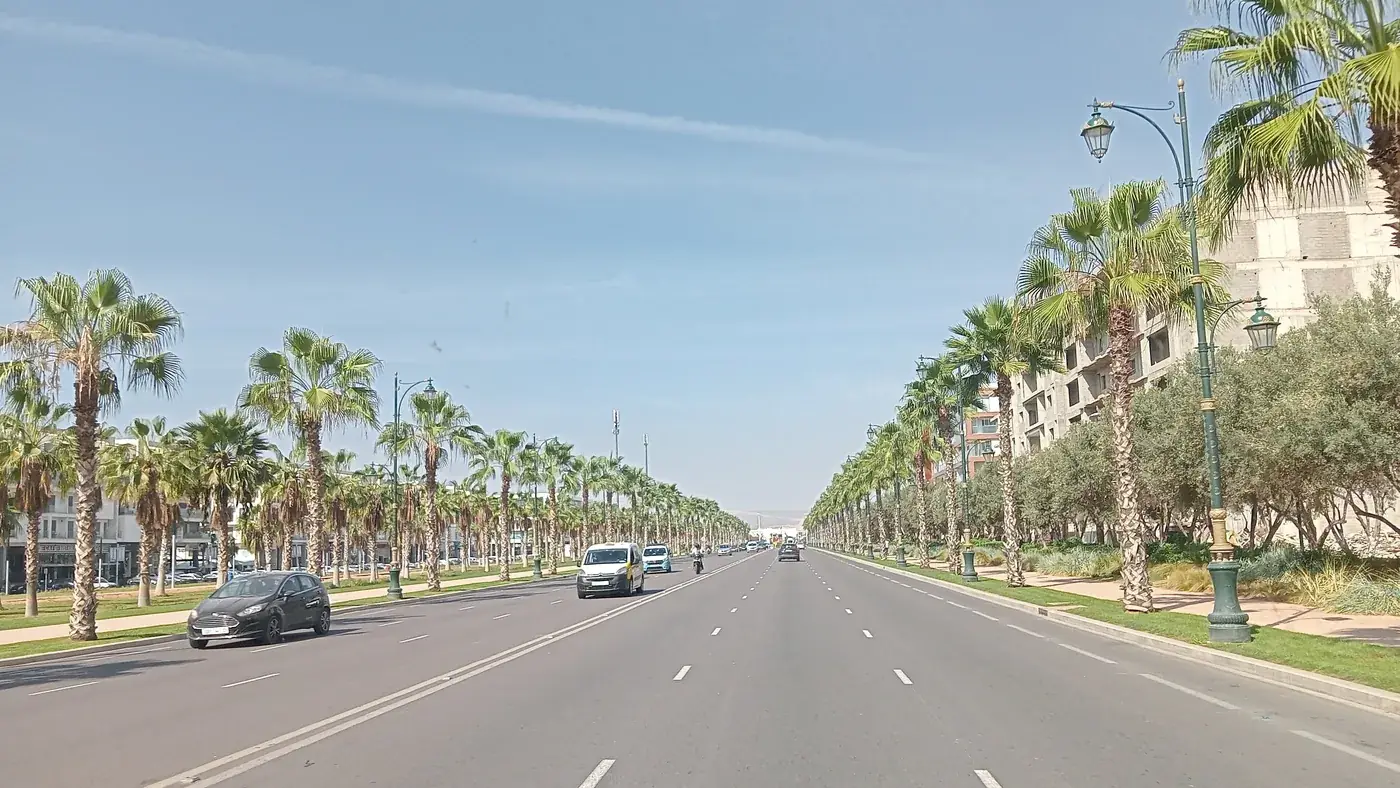 Palm-lined avenue in Agadir, an easy road for a young driver in Morocco